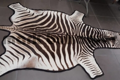 zebra-carpet