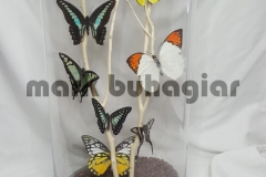 butterfly-vase-b-e1478525561372