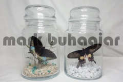 large-butterfly-jar-c-e1478525389143