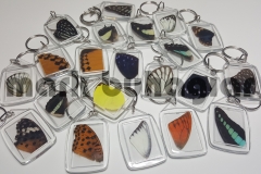 butterfly-wing-keychain